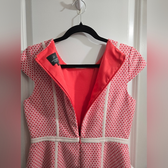 Adrianna Papell Guava Dot w/Contrast Ivory Piping U-Neck Texture Knit Dress - Picture 10 of 10